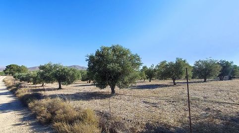 Foto 5 de Finca rústica en venta en Tobarra, Albacete