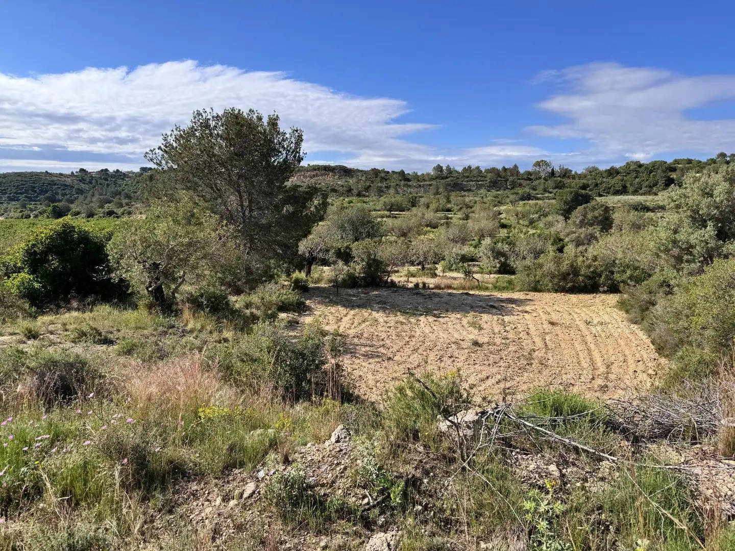 Land for sale in Polígono 26 Parcela 21 CASA BLANCA-BARBETA. TORRE, 26, Poligono Mas del Jutge