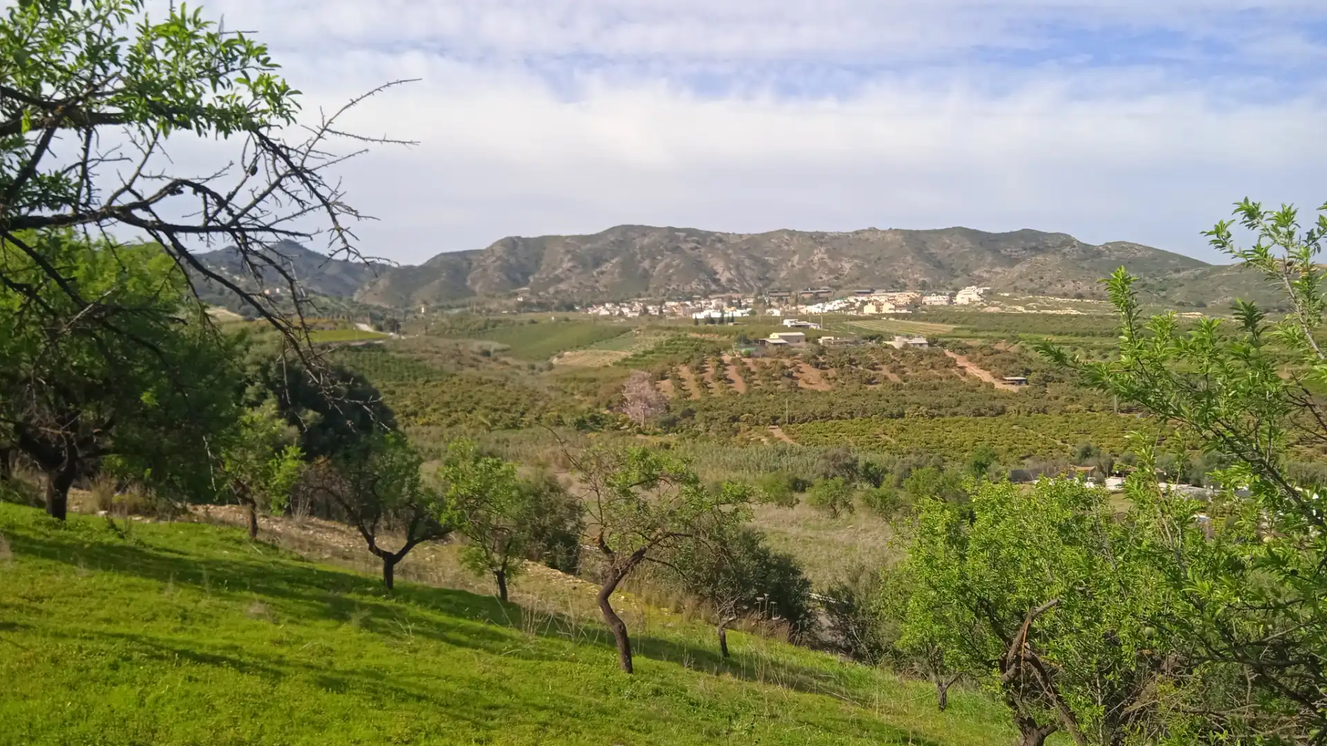 Rustikales Grundstück zum Verkauf in Camino Cuesta del Palmar 34, imagen 4