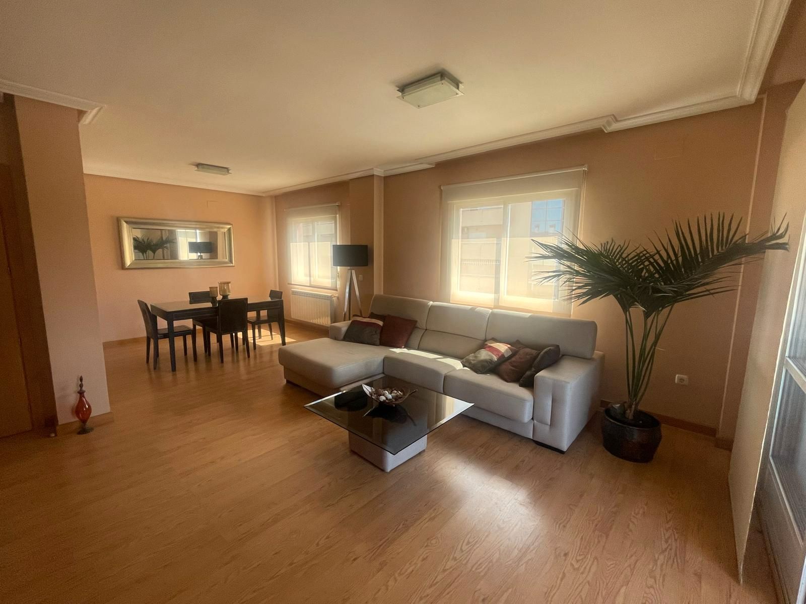 Sala d'estar de Pis en venda en Plasencia amb Aire condicionat, Calefacció i Jardí privat