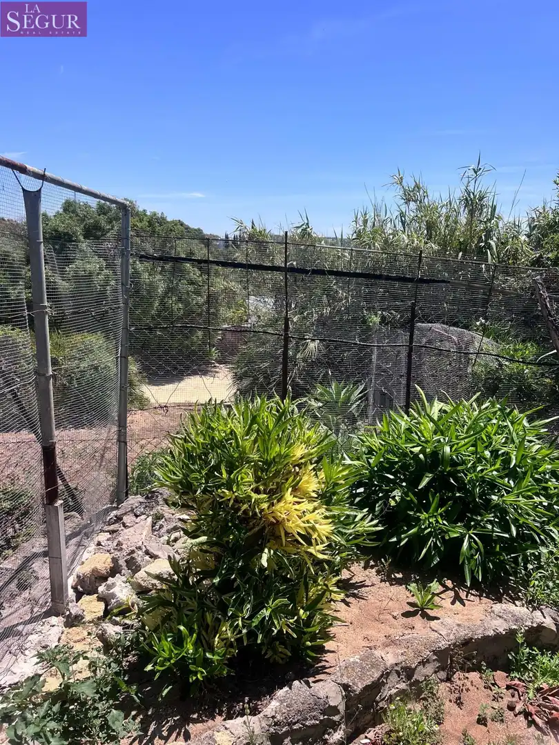 Jardí de Casa o xalet en venda en Vejer de la Frontera amb Jardí privat