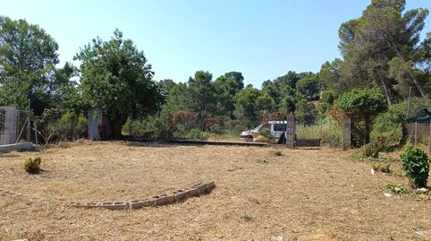 Foto 3 de Residencial en venta en Castellbisbal, Barcelona