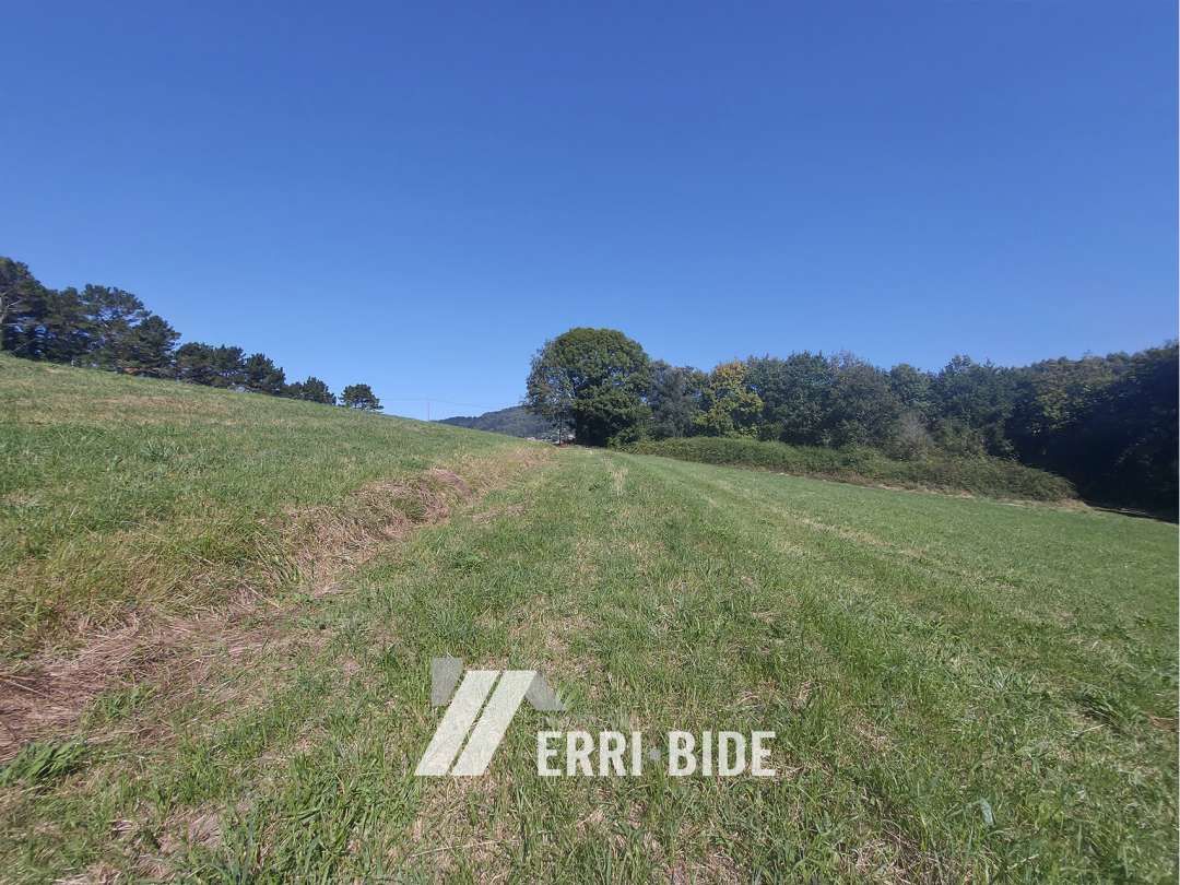 Land for sale in Arrieta