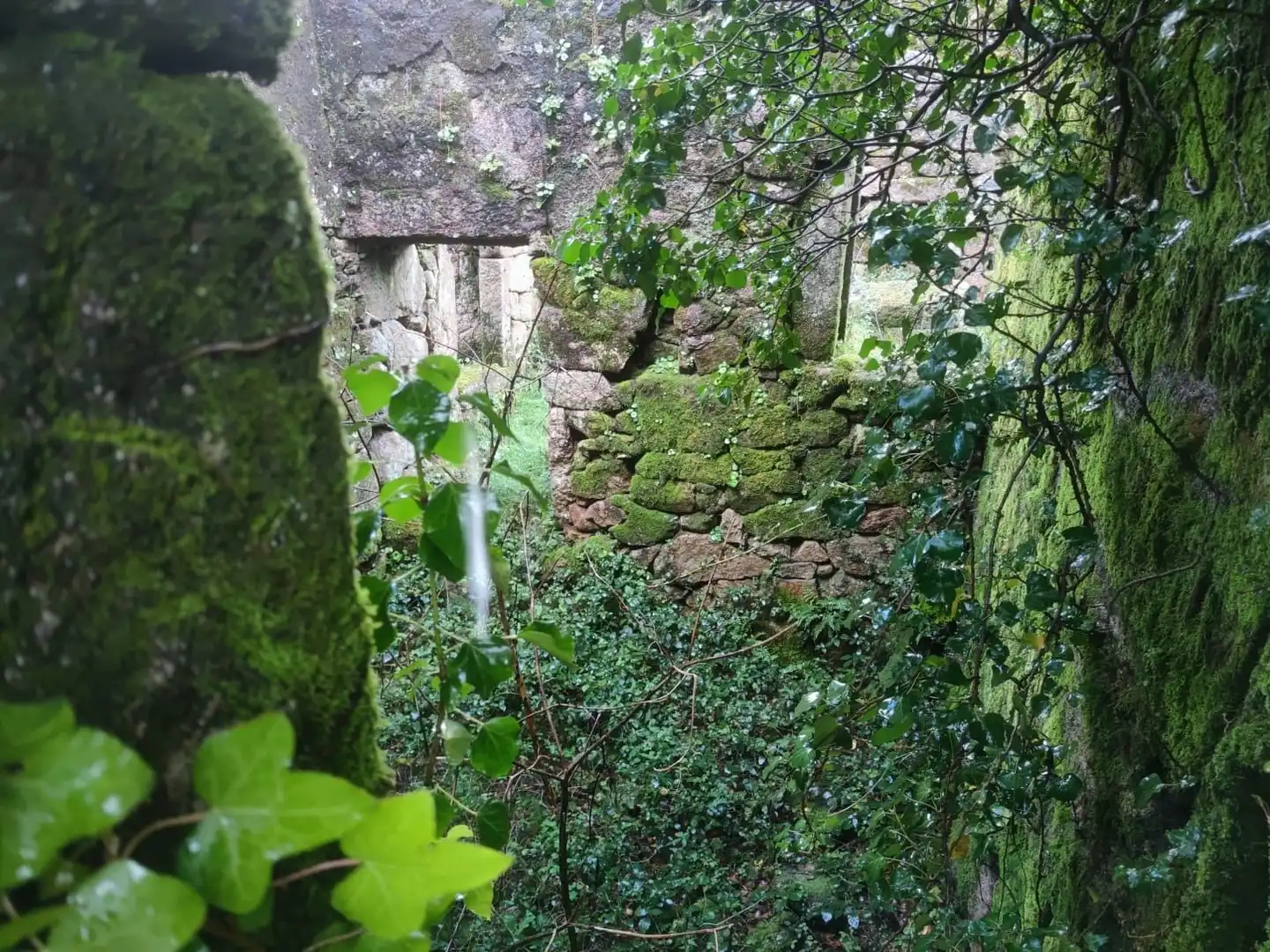 Terreno rustico in vendita a Ponte Caldelas, imagen 17