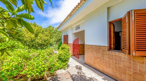 Foto 3 de Casa o chalet en venta en Carretera del Pico, 38, Valleseco, Las Palmas