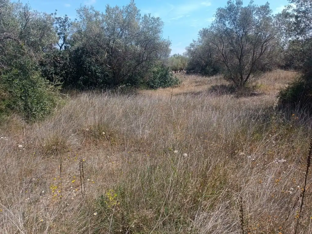 Nau industrial en venda en Canet lo Roig