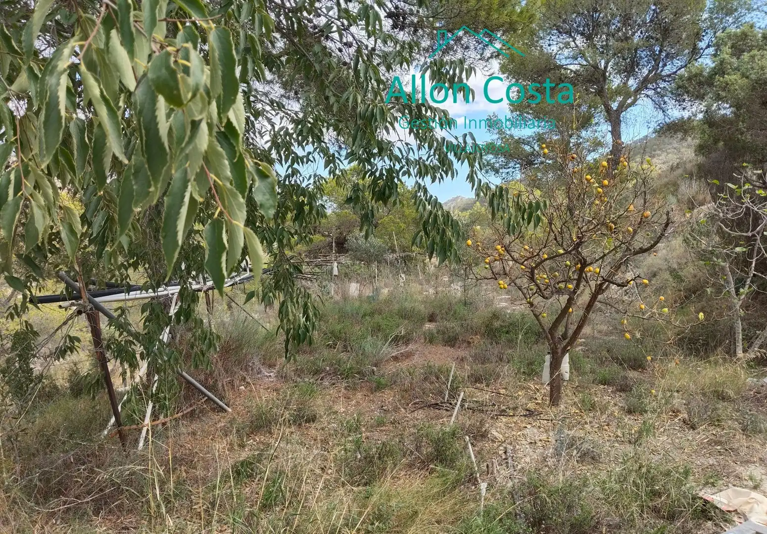 Finca rústica en venta en Orxeta con Jardín privado, Terraza y Trastero