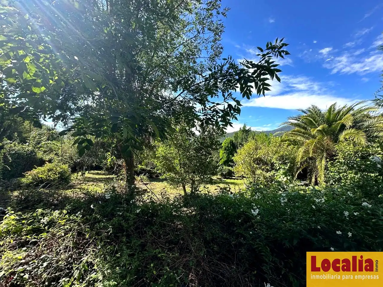 Rural land for sale in Coo-Los Tocios, imagen 2