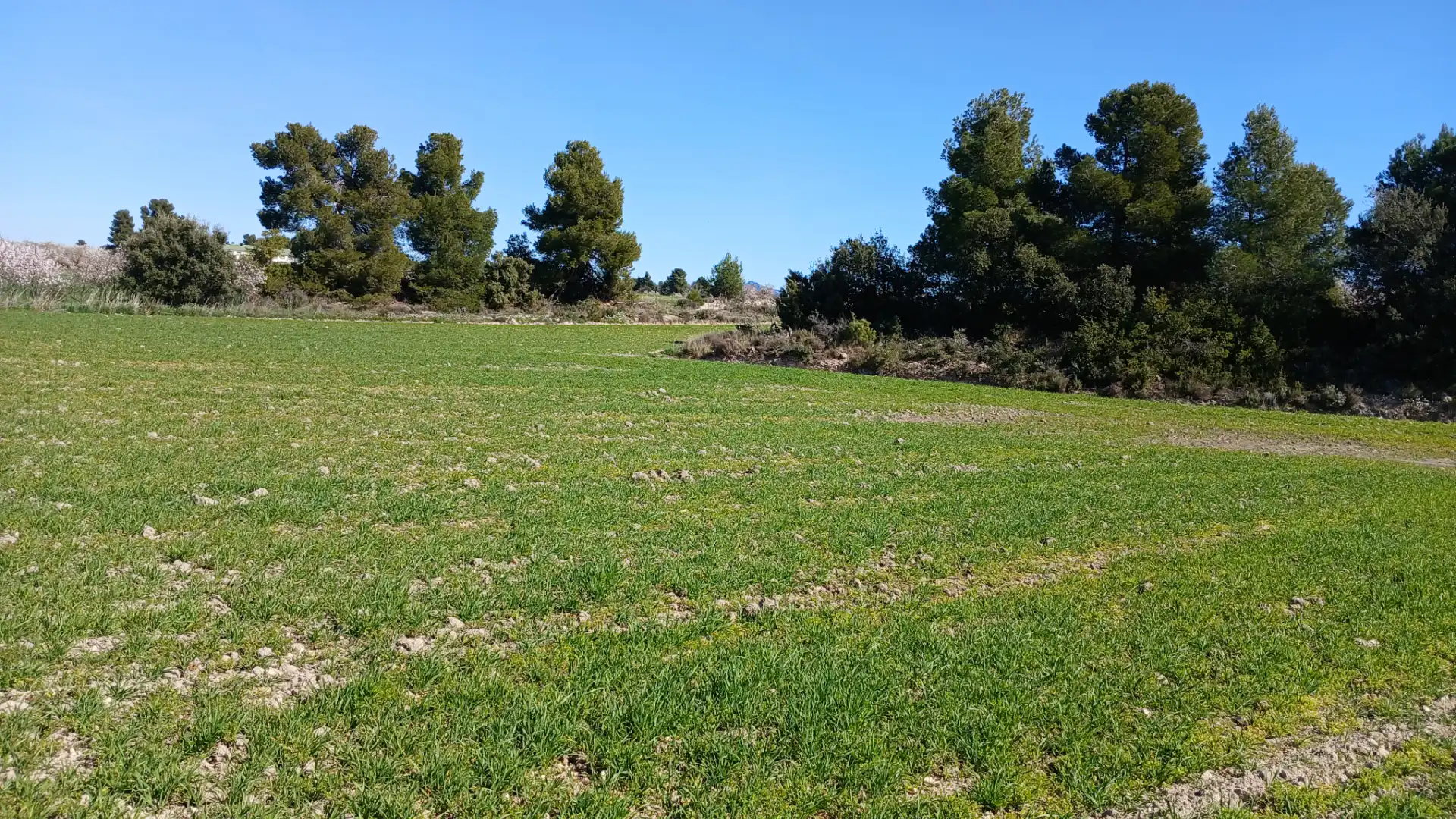 Terreni e lotti in vendita a Valderrobres, imagen 14