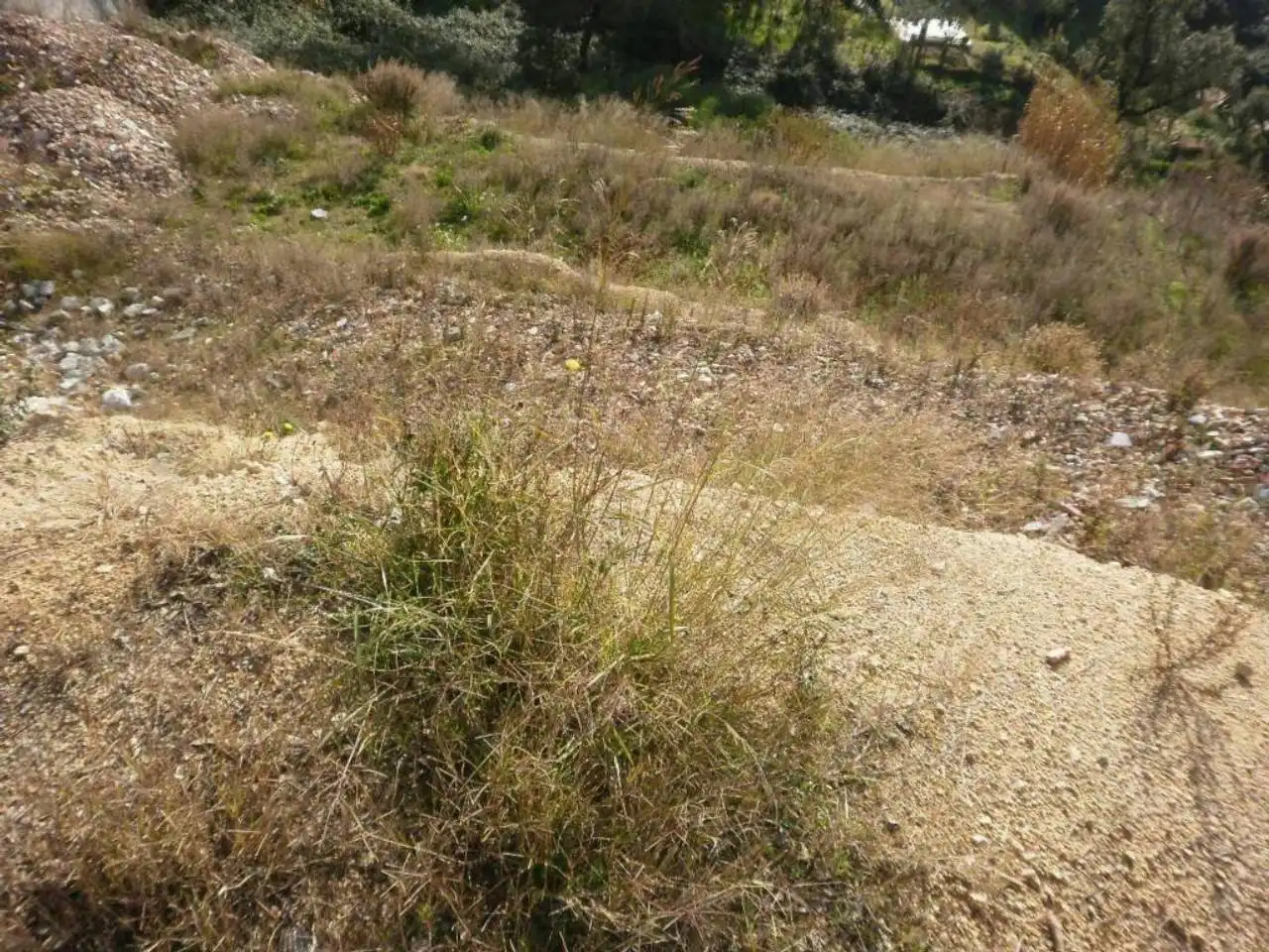 Terreno rustico in vendita a Mas Altaba - El Molí, imagen 3