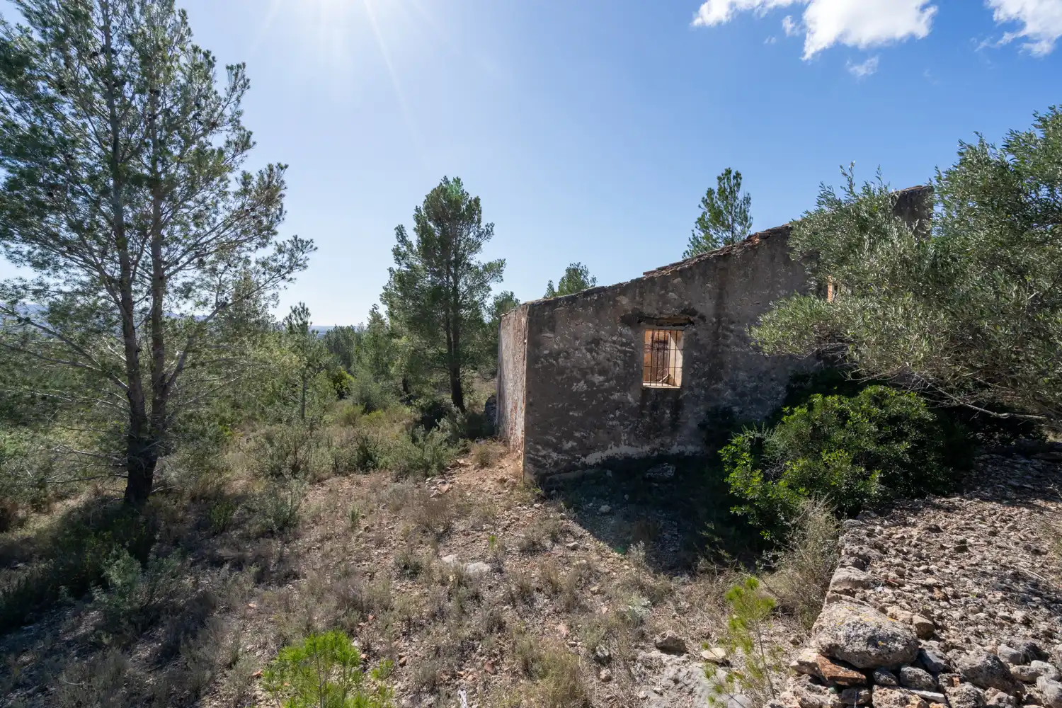 Terrain rustique à vendre à Xerta, imagen 25