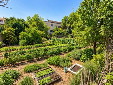 Terreno rustico in vendita a Calle Doctor Fleming