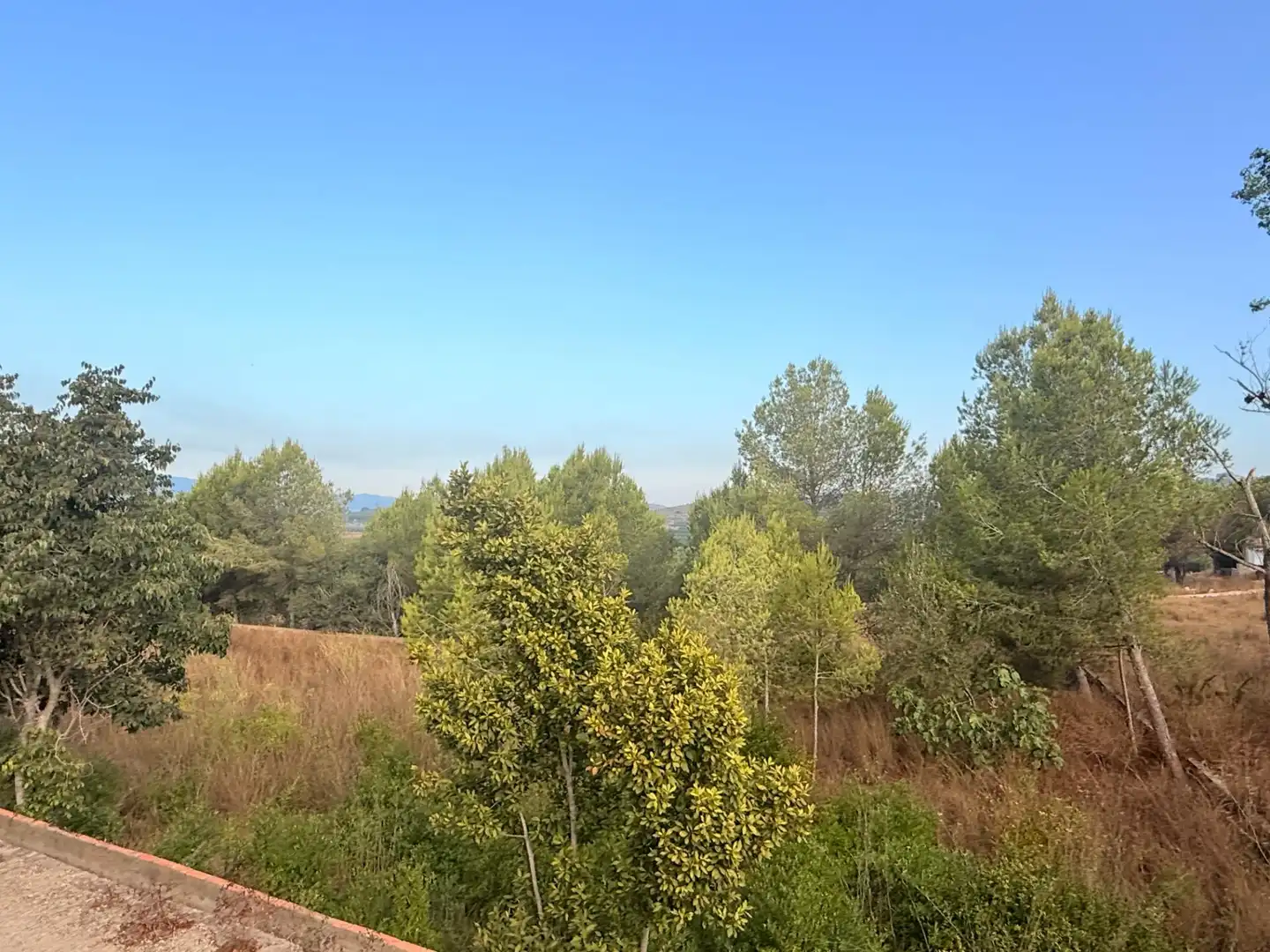 Casa o chalet en venta en Carlet con Aire acondicionado, Calefacción y Jardín privado