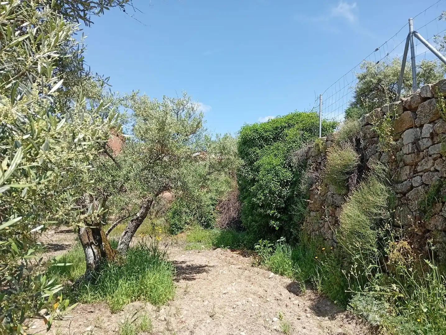 Terreni e lotti in vendita a Villanueva de la Vera, imagen 67