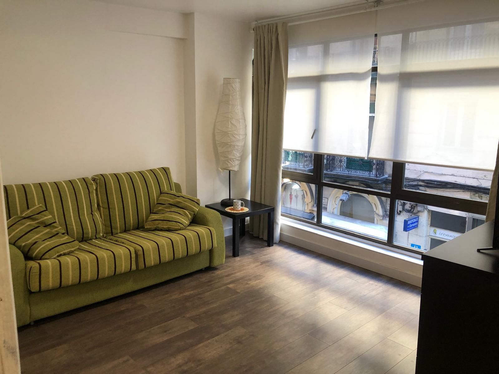 Sala d'estar de Apartament de lloguer en Santander amb Moblat i Es permeten mascotes