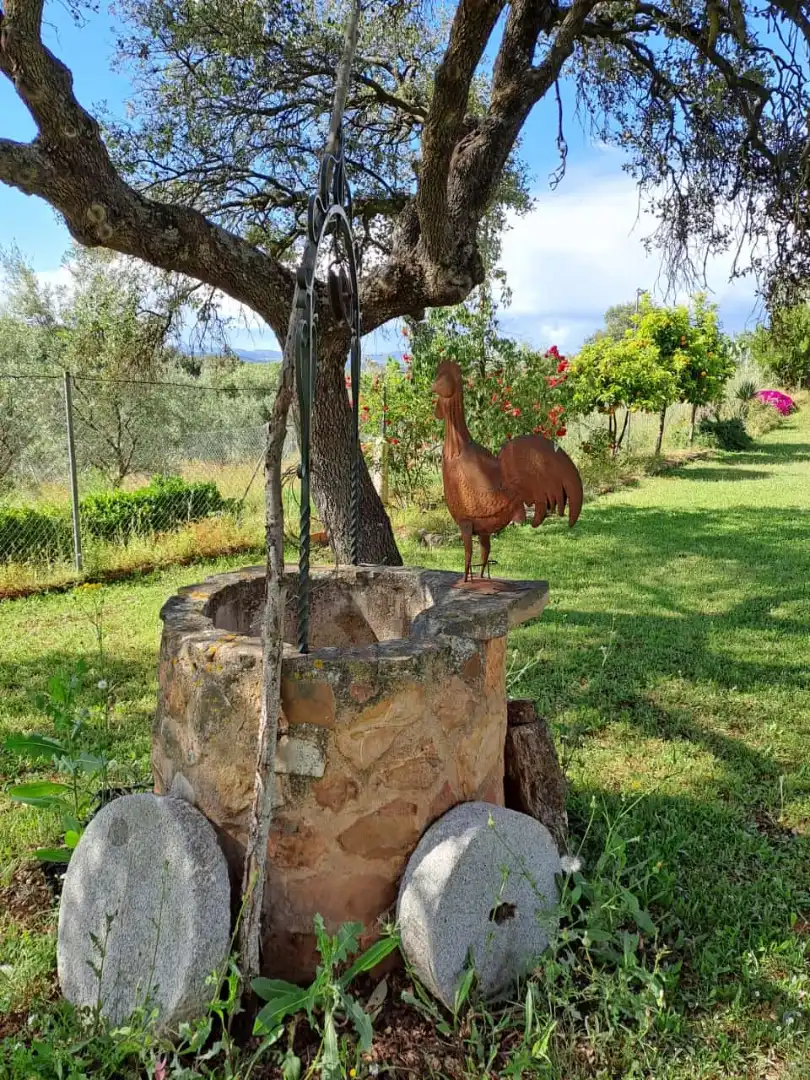 Garden of Country homes for sale in Santa Eufemia  with Furnished