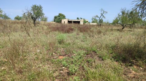 Lote de 2 fincas rústicas para construir 2 viviendas unifamiliares, immagine 4