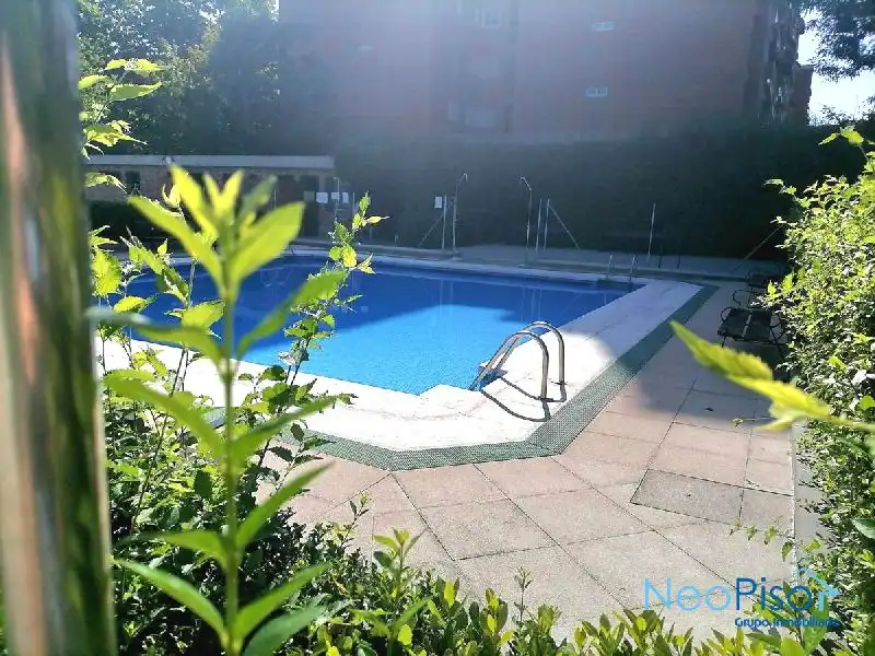Piscina de Piso en venta en Alcorcón con Terraza y Piscina
