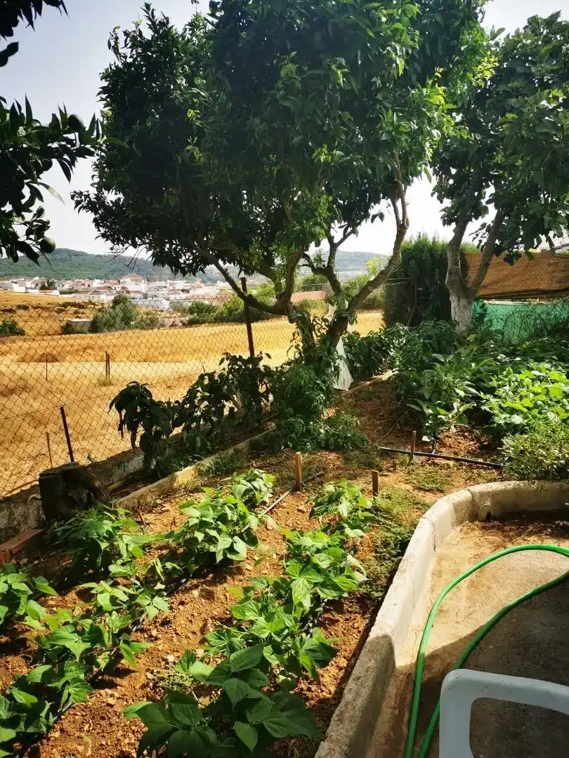 Jardí de Casa o xalet en venda en Cazalla de la Sierra