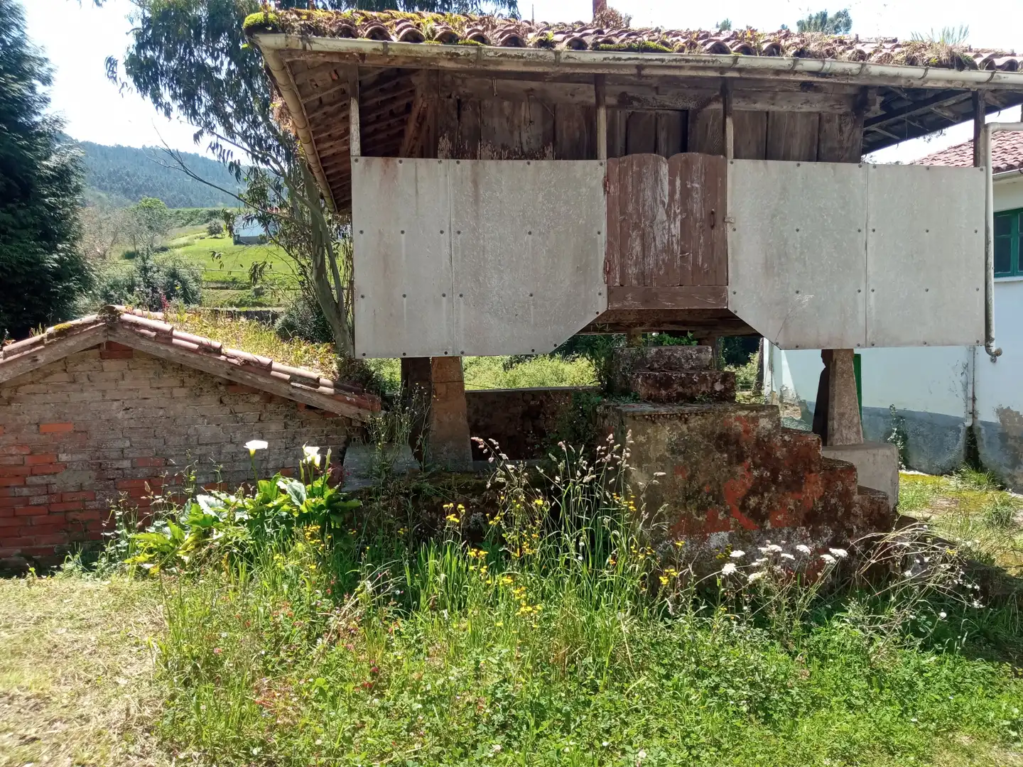Vista exterior de Finca rústica en venta en Valdés - Luarca con Jardín privado, Terraza y Amueblado