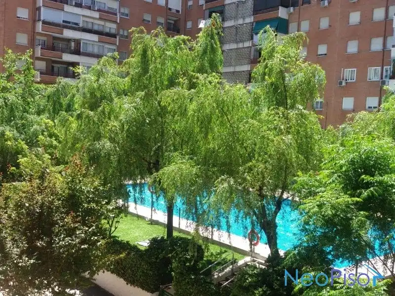 Piscina de Pis en venda en Alcorcón amb Terrassa i Piscina