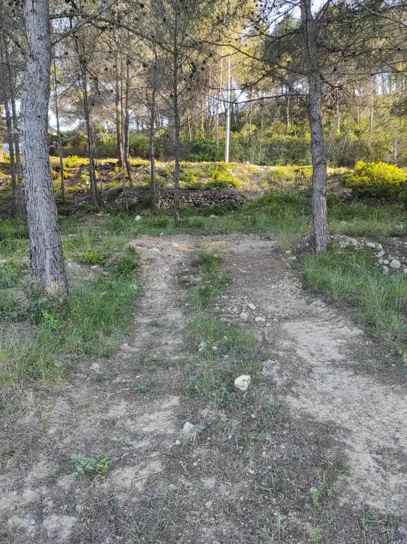 Terreno residencial en venta en Canyelles, imagen 2