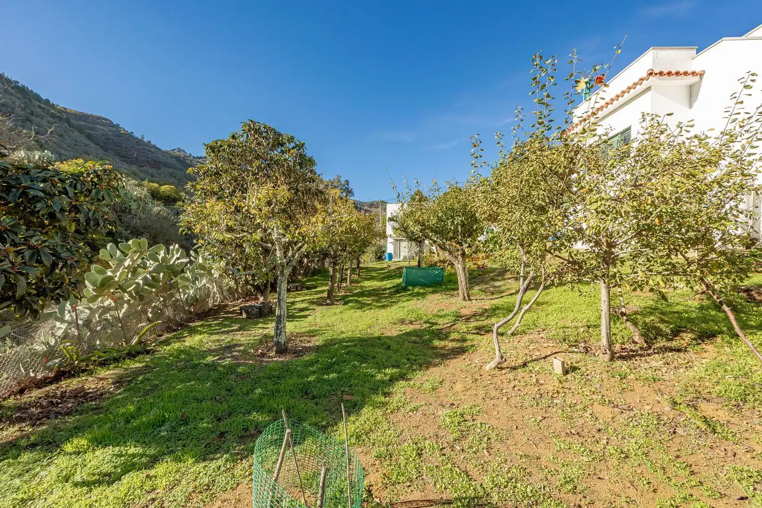 Jardí de Casa o xalet en venda en Vega de San Mateo amb Jardí privat i Terrassa