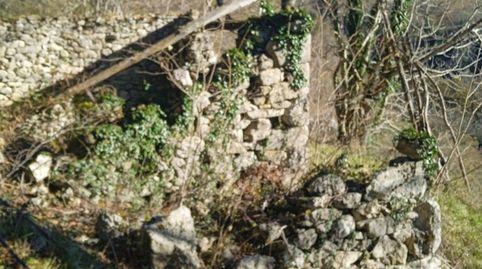 Venta de finca rústica con cuadra y cabaña, immagine 2