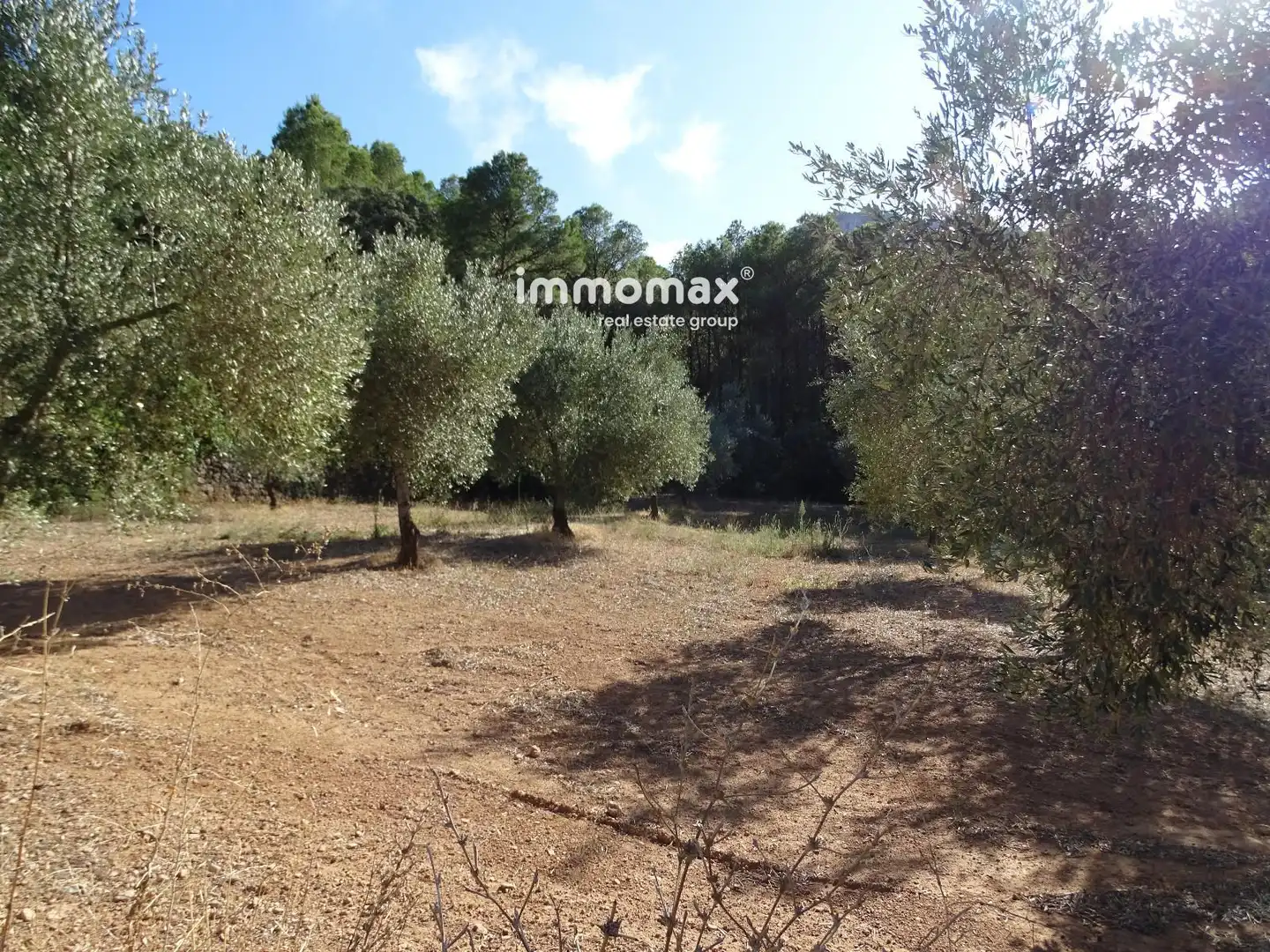 Terreno en venta en Paüls