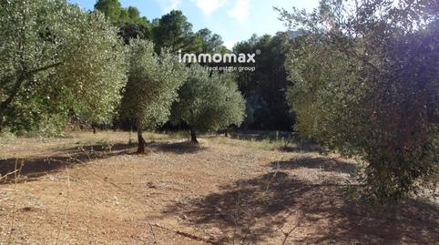 Foto 4 de Terreny en venda a 8, Paüls, Tarragona