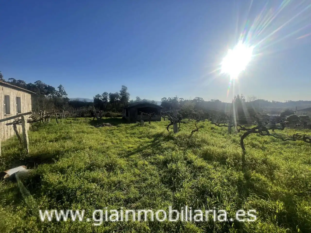 Casa con jardín en venta en Calle Xestal, imagen 9