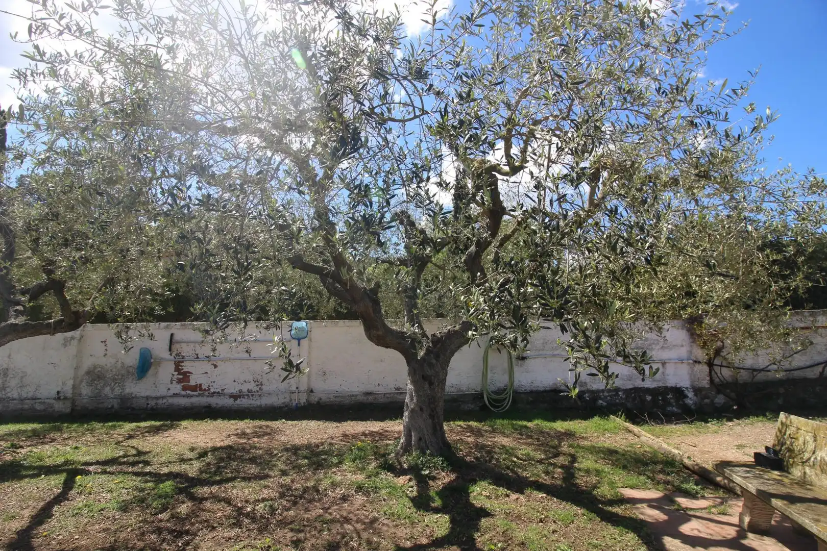 Jardí de Casa o xalet de lloguer en Canyelles amb Aire condicionat, Calefacció i Jardí privat