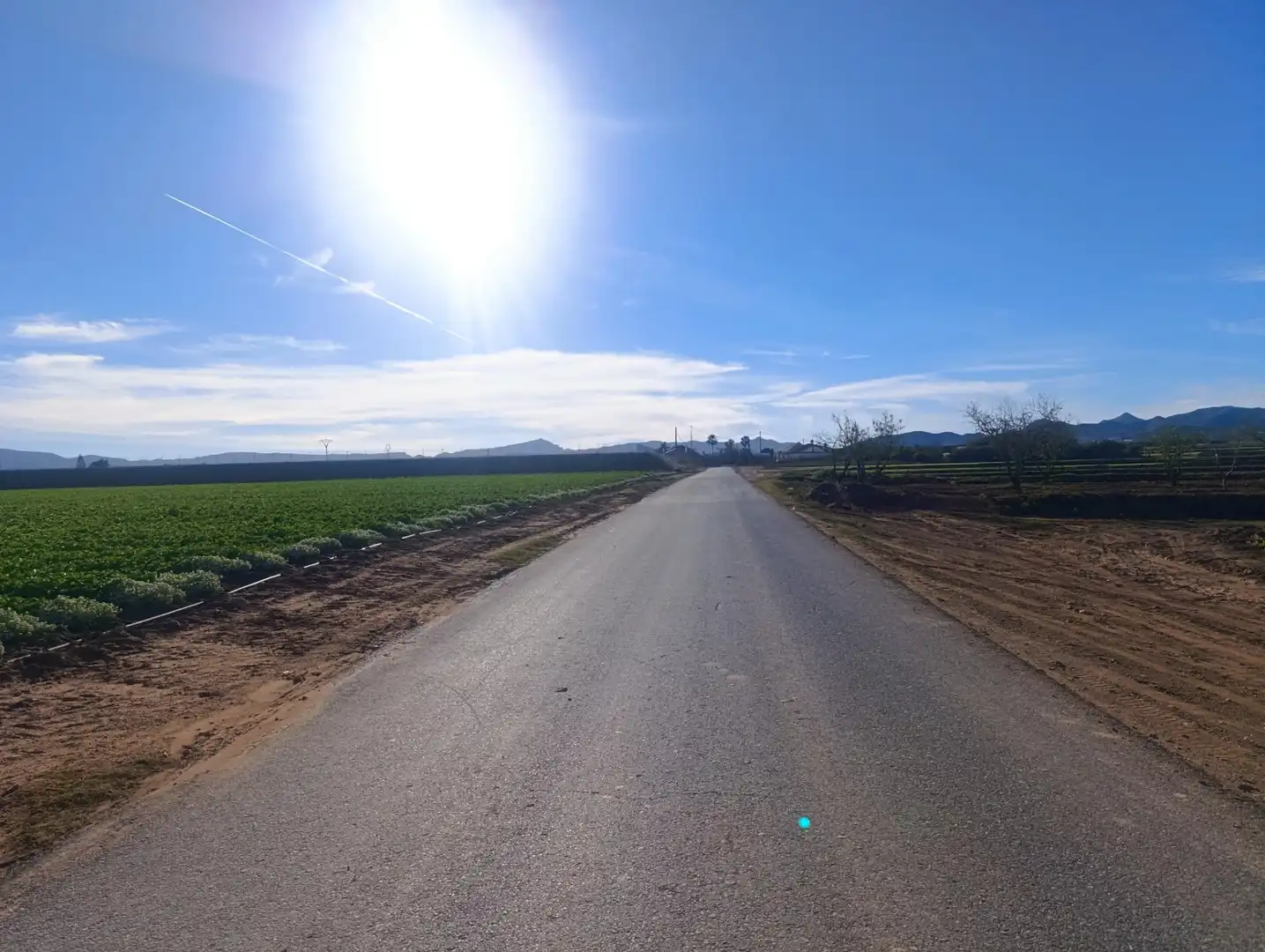Terreno rústico en venta en Pasaje TORRE CALIN-DS ALJORRA 1, imagen 6