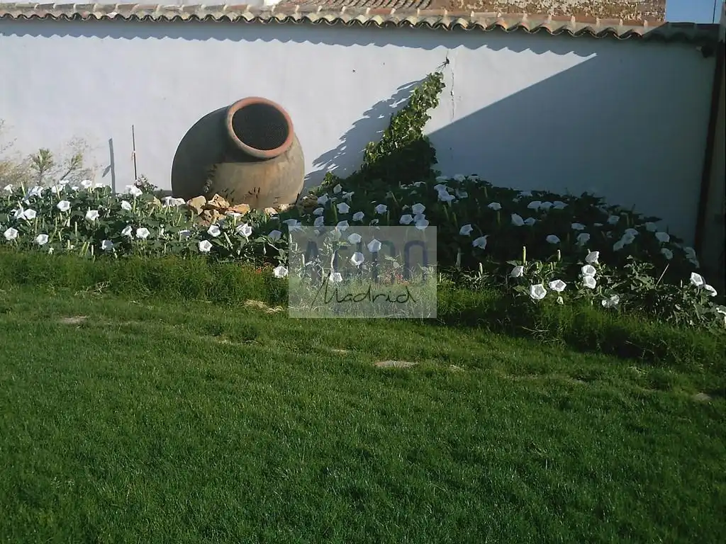 Jardín de Casa o chalet en venta en Cózar con Aire acondicionado, Calefacción y Terraza