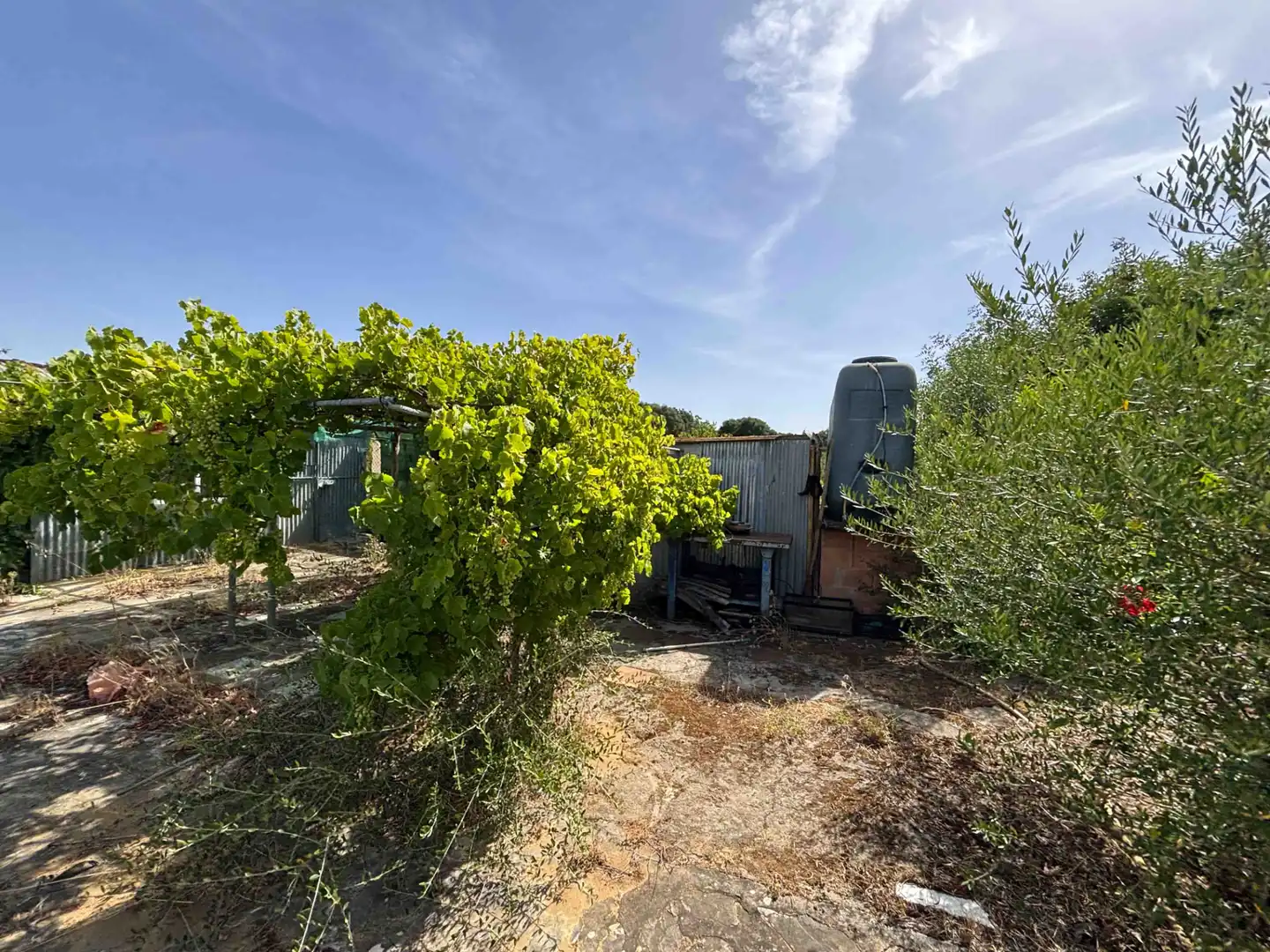 Terreny rústic en venda a Medina Sidonia, imagen 16