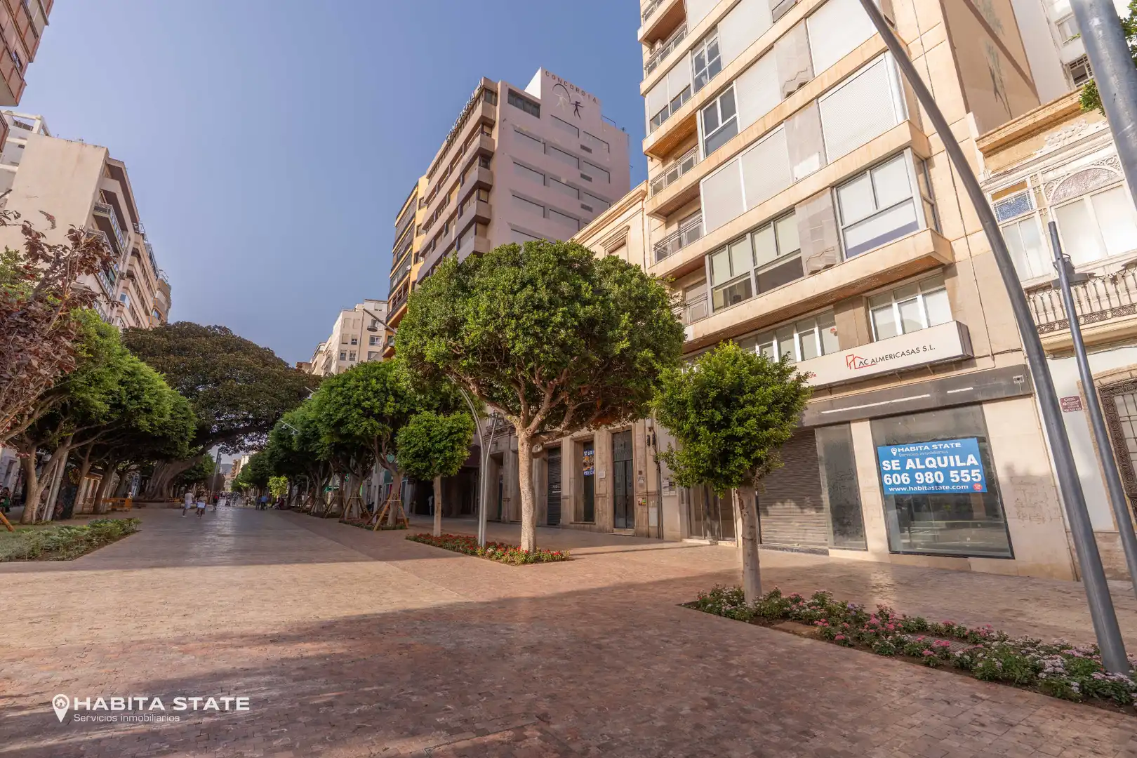 Local comercial en alquiler en Paseo de Almería 60