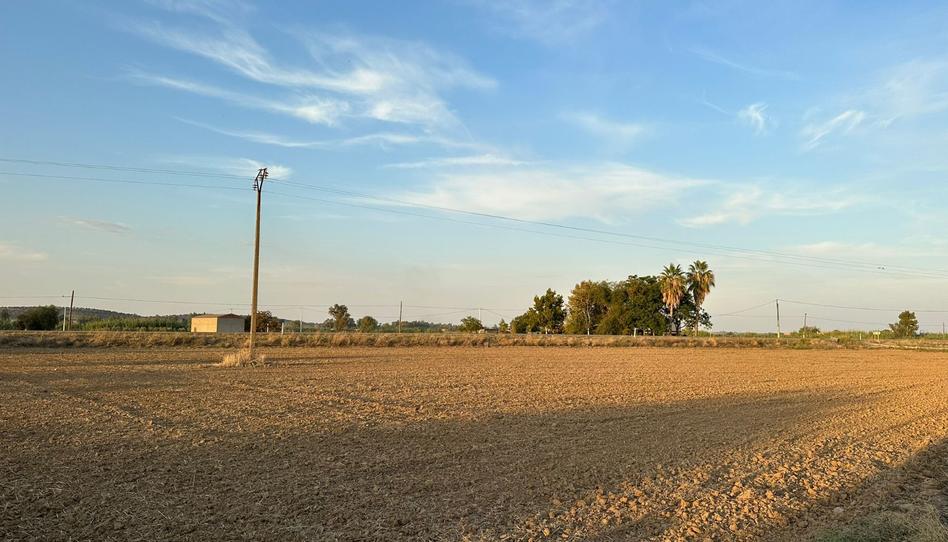 Photo 1 of Land for sale in Medellín, Badajoz