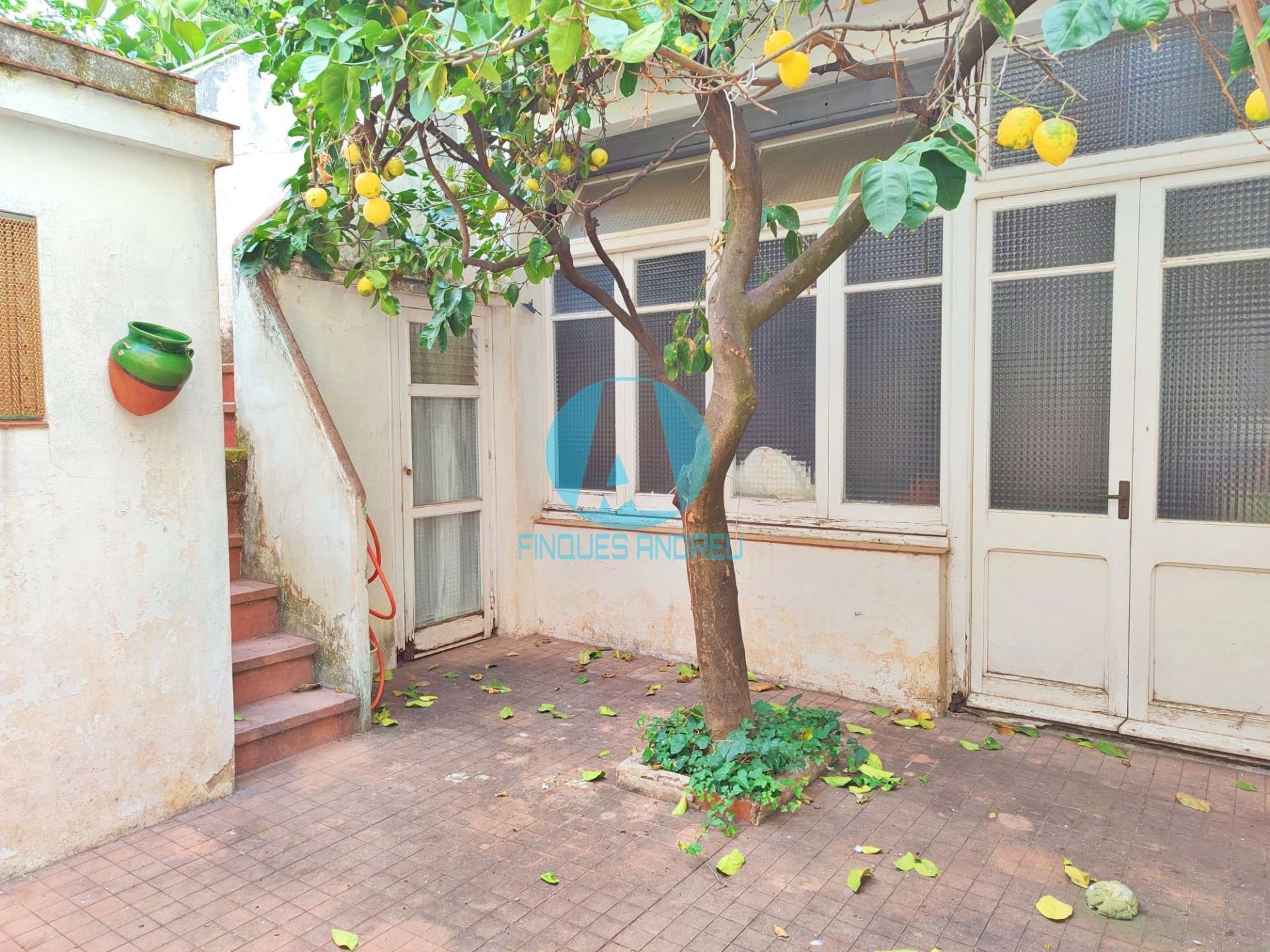 Exterior view of House or chalet for sale in Mataró  with Private garden and Terrace