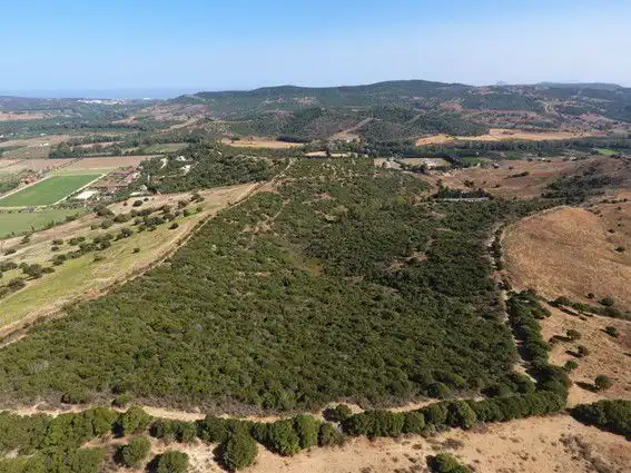 Maison rustique à vendre à San Martín del Tesorillo, imagen 38