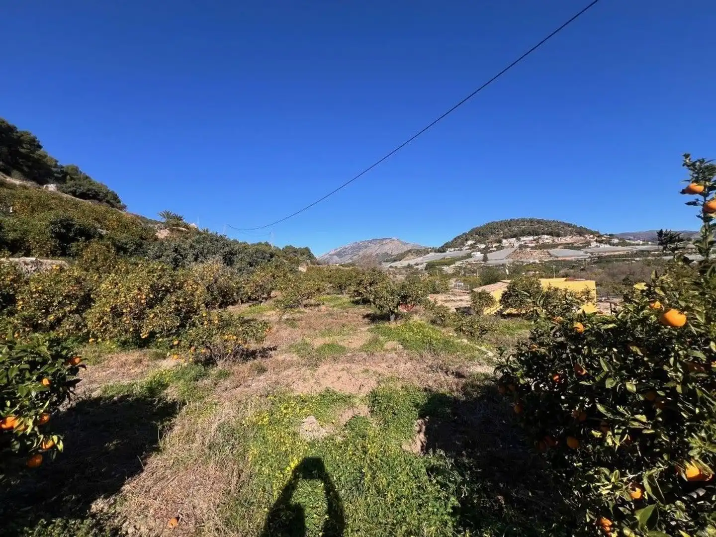 Terrain rustique à vendre à Partida Sentenilla, imagen 7