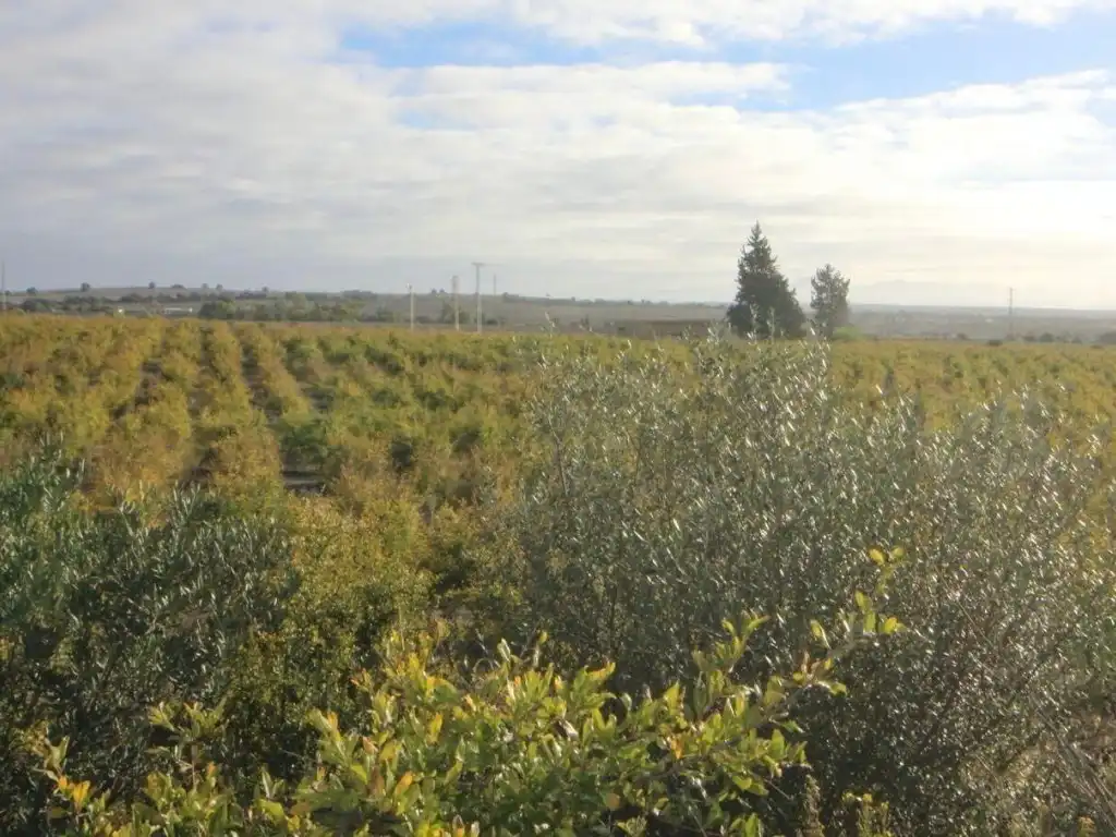 Terreno en venta en Jerez de la Frontera