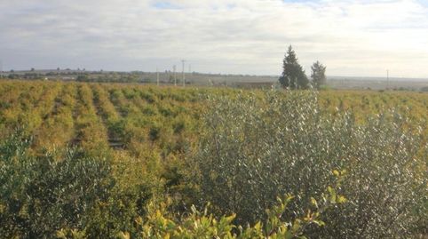 Foto 2 de Terreno en venta en Parque Atlántico - Ronda este, Jerez de la Frontera