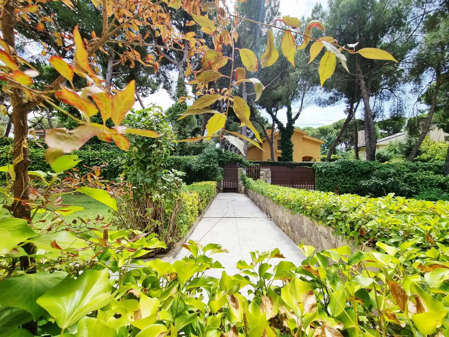 Jardí de Casa o xalet en venda en Boadilla del Monte amb Calefacció, Jardí privat i Terrassa
