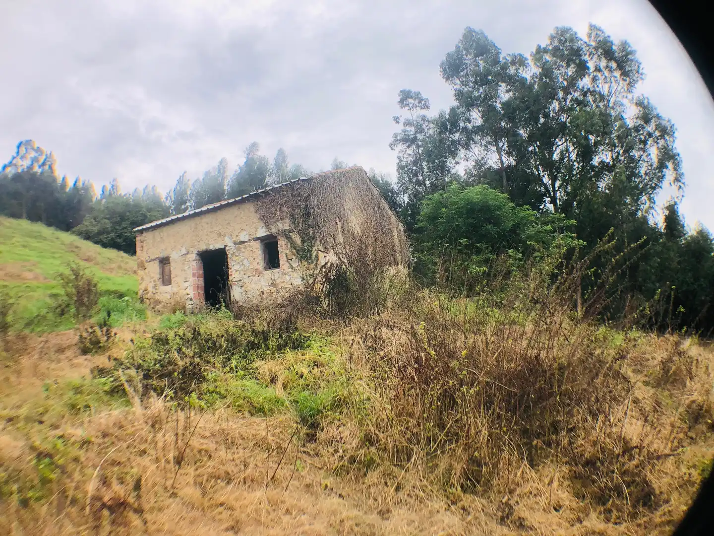 Casa o chalet en venta en Piélagos