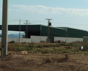 Vista exterior de Nau industrial en venda en Fuente Álamo de Murcia