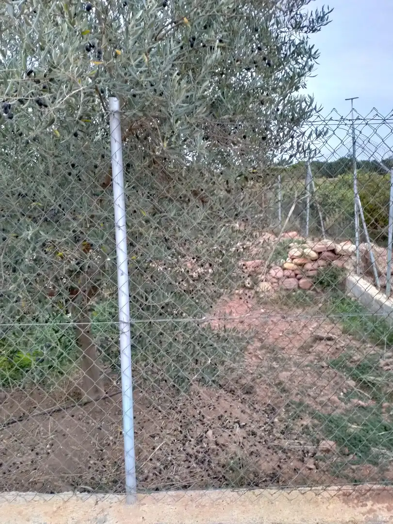 Rural land for sale in Gilet, imagen 11