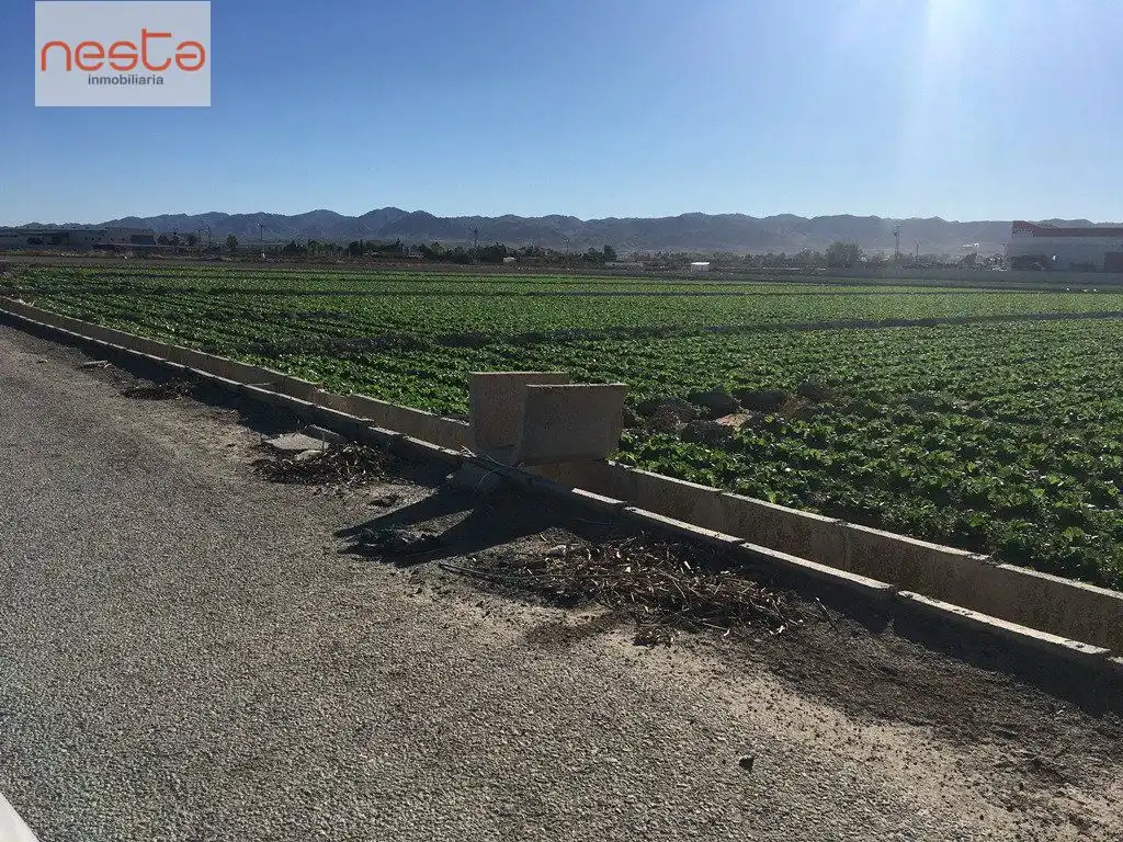 Terreny residencial en venda a Pedanías Centro