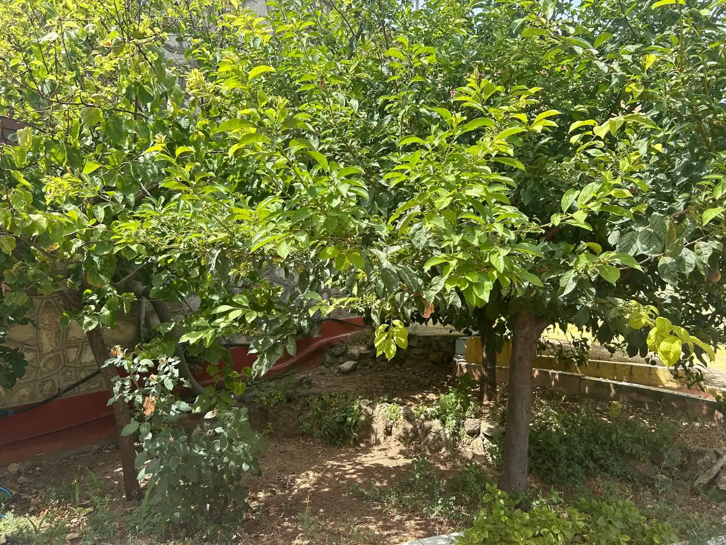 Jardí de Casa o xalet de lloguer en Alborache amb Aire condicionat, Jardí privat i Terrassa