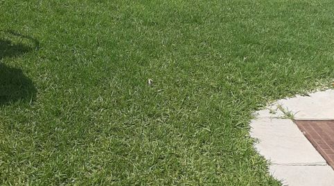 Foto 5 de Casa adosada en venda a Calle del Maestro Vert, 33, Churriana - El Pizarrillo - La Noria-Guadalsol, Málaga Capital