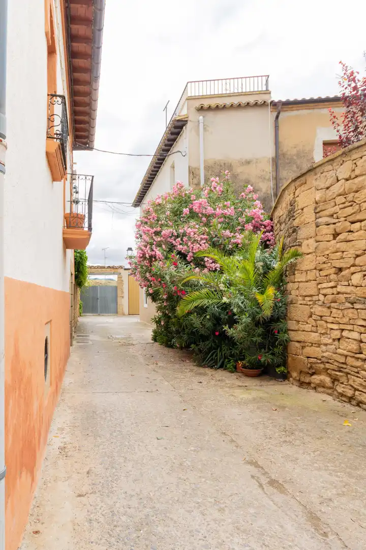 Vista exterior de Casa o chalet en venta en Beire con Trastero y Balcón